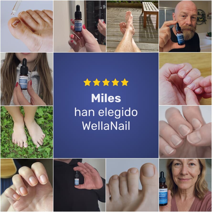 WellaNail image
